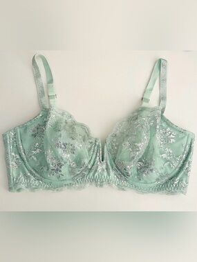 NWT Victoria's Secret Mint Lace Bra with Silver Embroidery